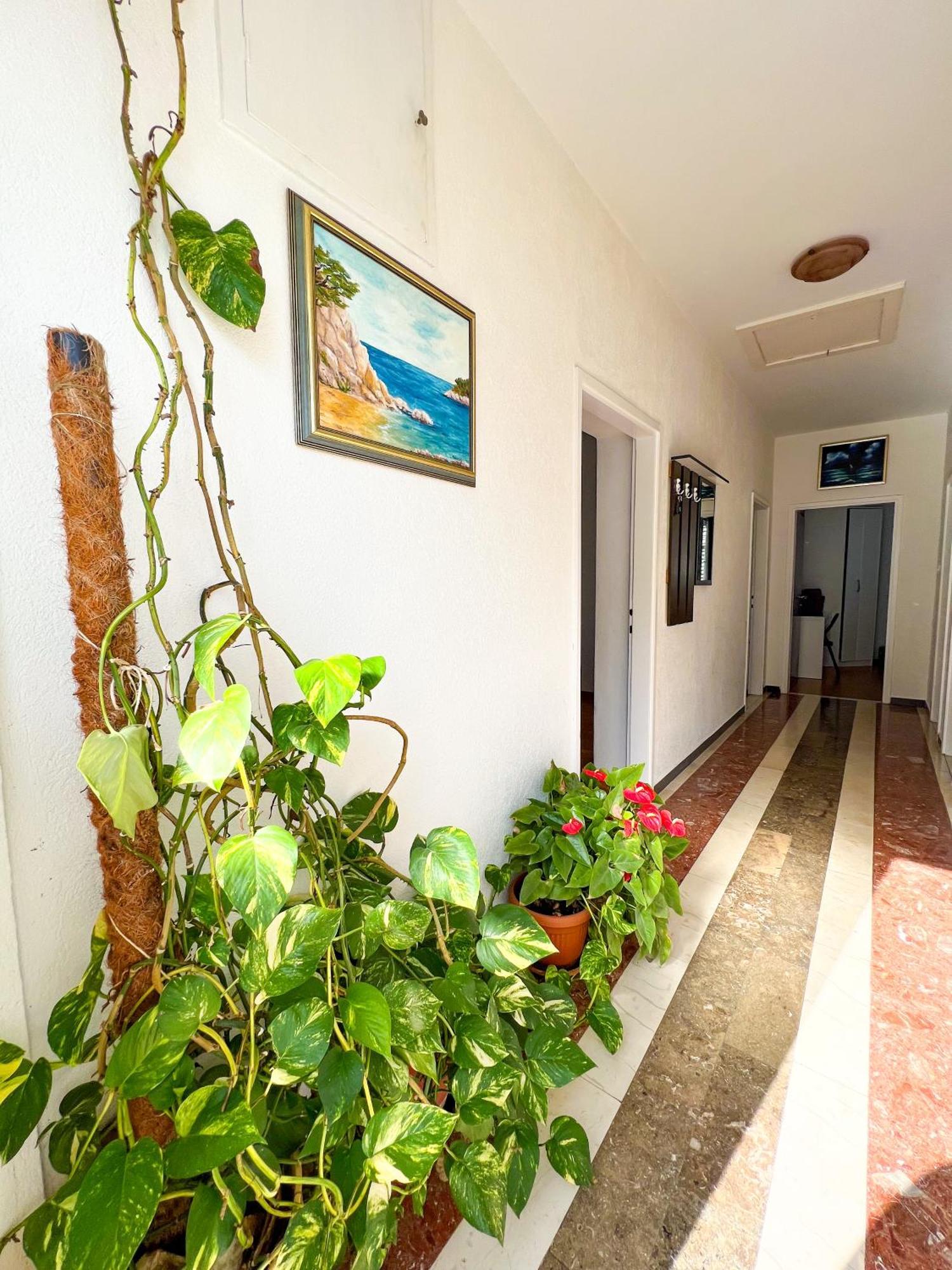 Apartment Bava Dubrovnik Ngoại thất bức ảnh