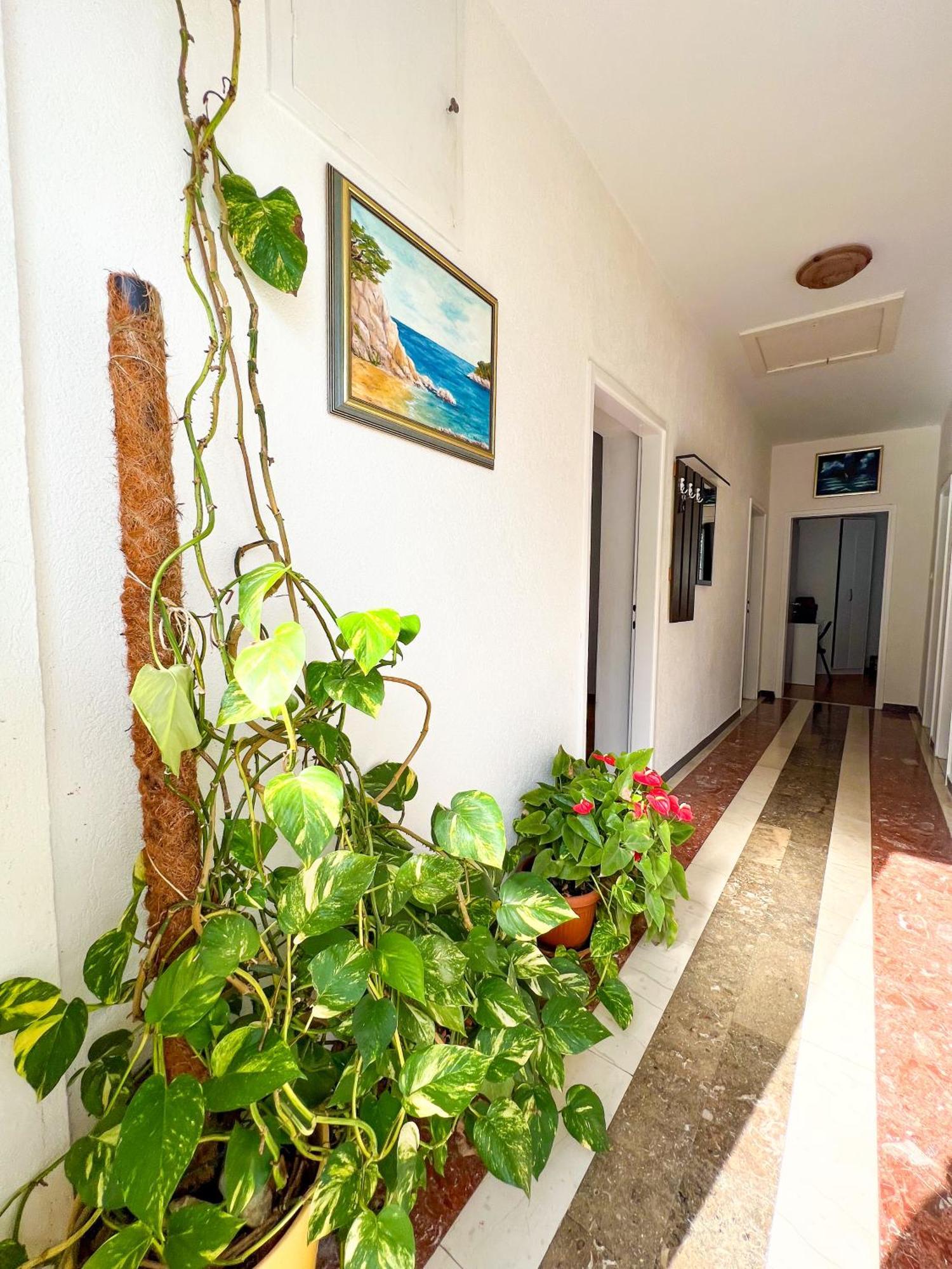 Apartment Bava Dubrovnik Ngoại thất bức ảnh